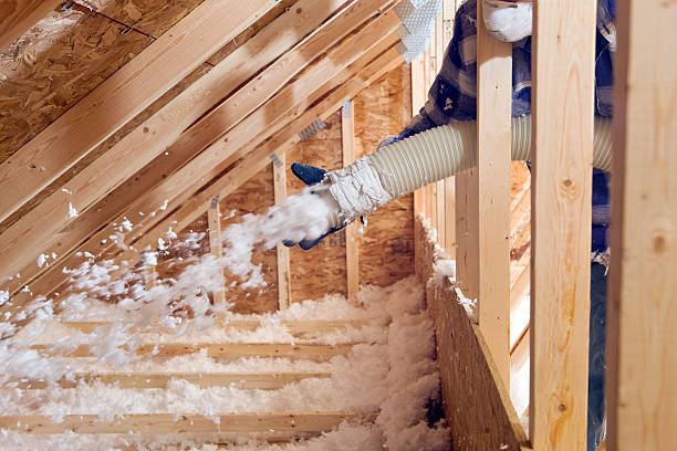 Types of Insulation We Offer in Lake Montezuma, AZ